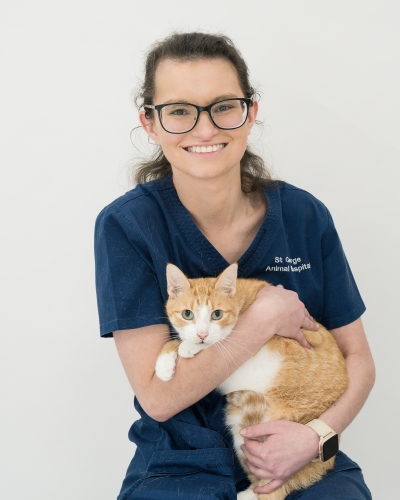 St George Vet - Meet Our Team - Dr Alana Costi St George Vet - Meet Our Team - Dr Alana Costi