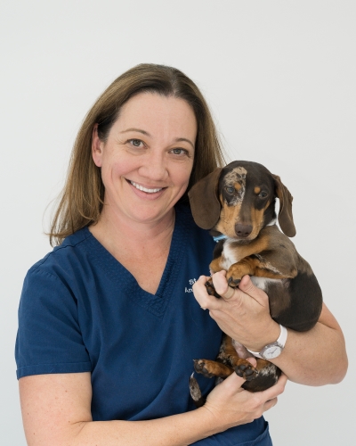 St George Vet - Meet Our Team - Dr Louise Dawson St George Vet - Meet Our Team - Dr Louise Dawson