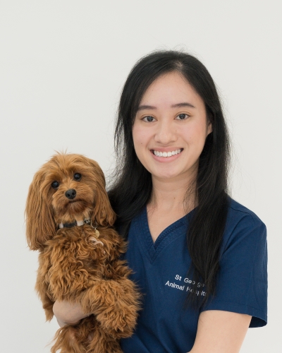 St George Vet - Meet Our Team - Dr Pauline Phan St George Vet - Meet Our Team - Dr Pauline Phan