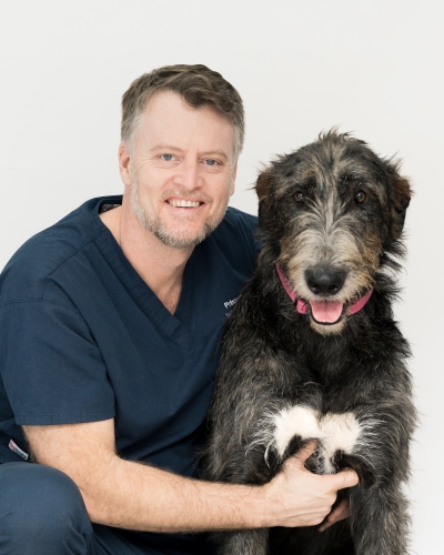 St George Vet - Meet Our Team - Dr Shelton St George Vet - Meet Our Team - Dr Shelton Smith