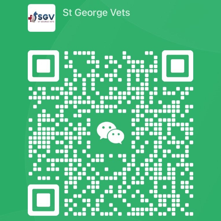 WeChat_QR_square